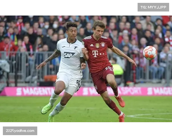 霍芬海姆客场不败概率高，斯图加特连续不胜难乐观