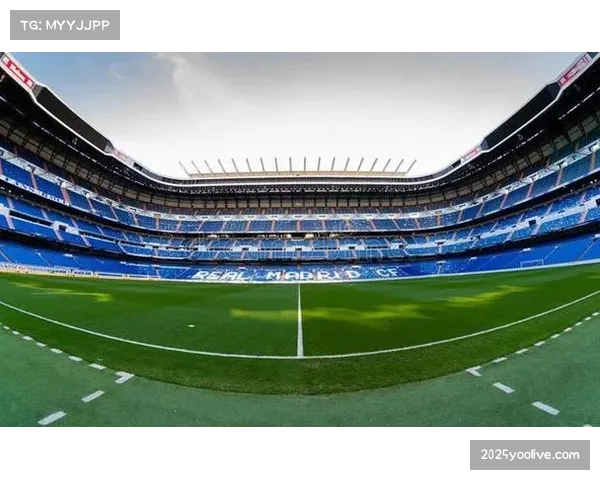 欧冠赛事基础设施要求：从草坪质量到安保系统的全方位标准